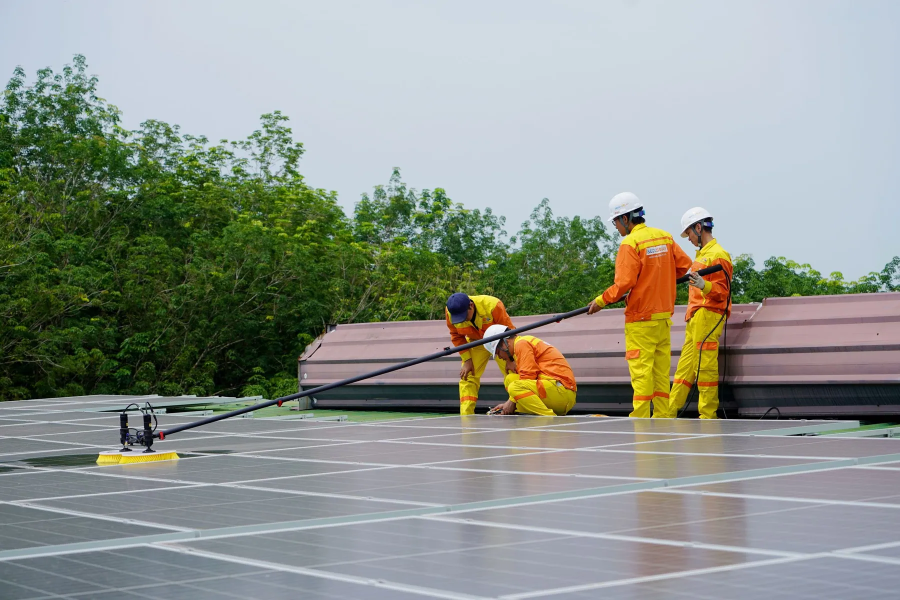 Professionnel nettoyant avec précaution une rangée de panneaux solaires